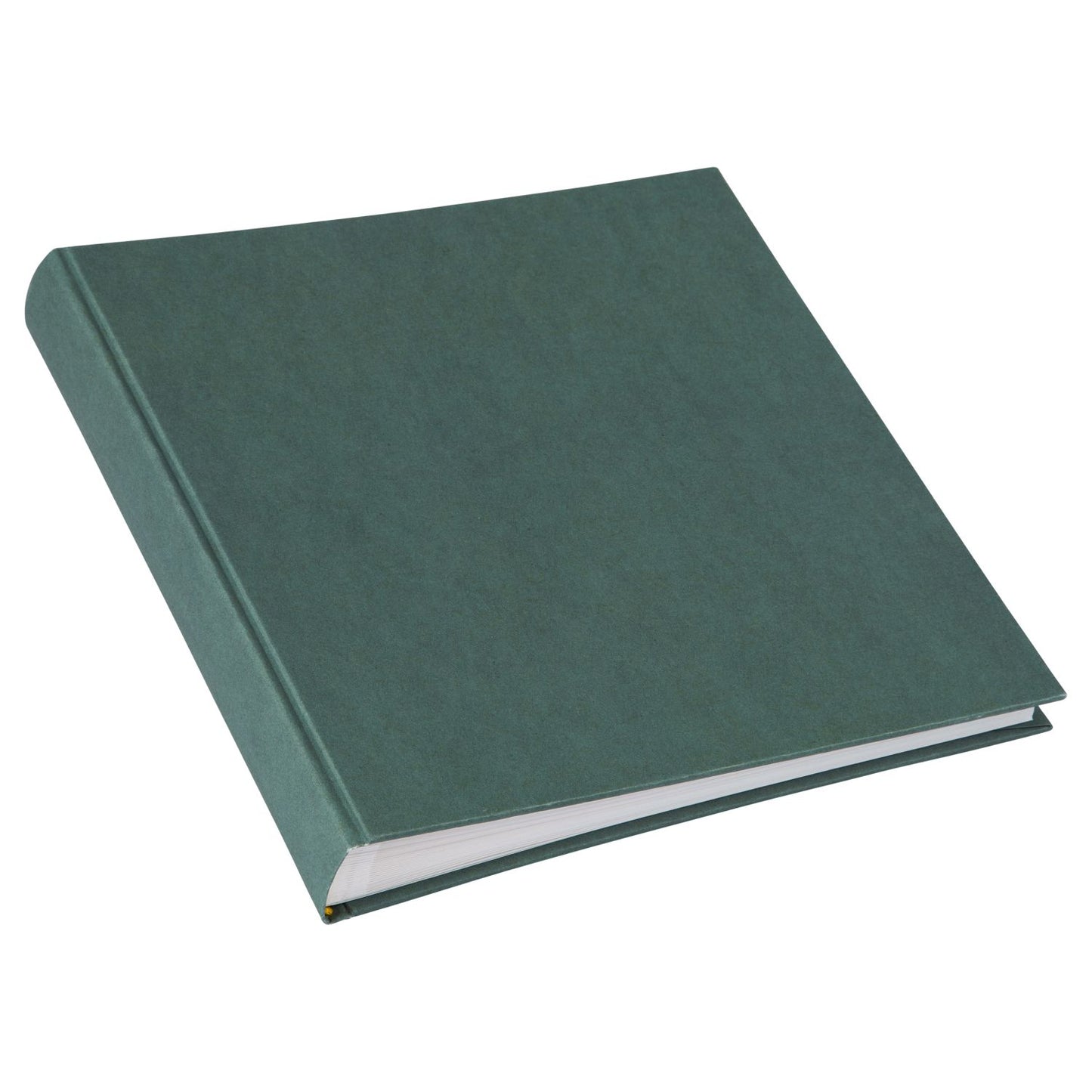 Goldbuch Hemp Midnight-Green 25x25 Drymount image 2