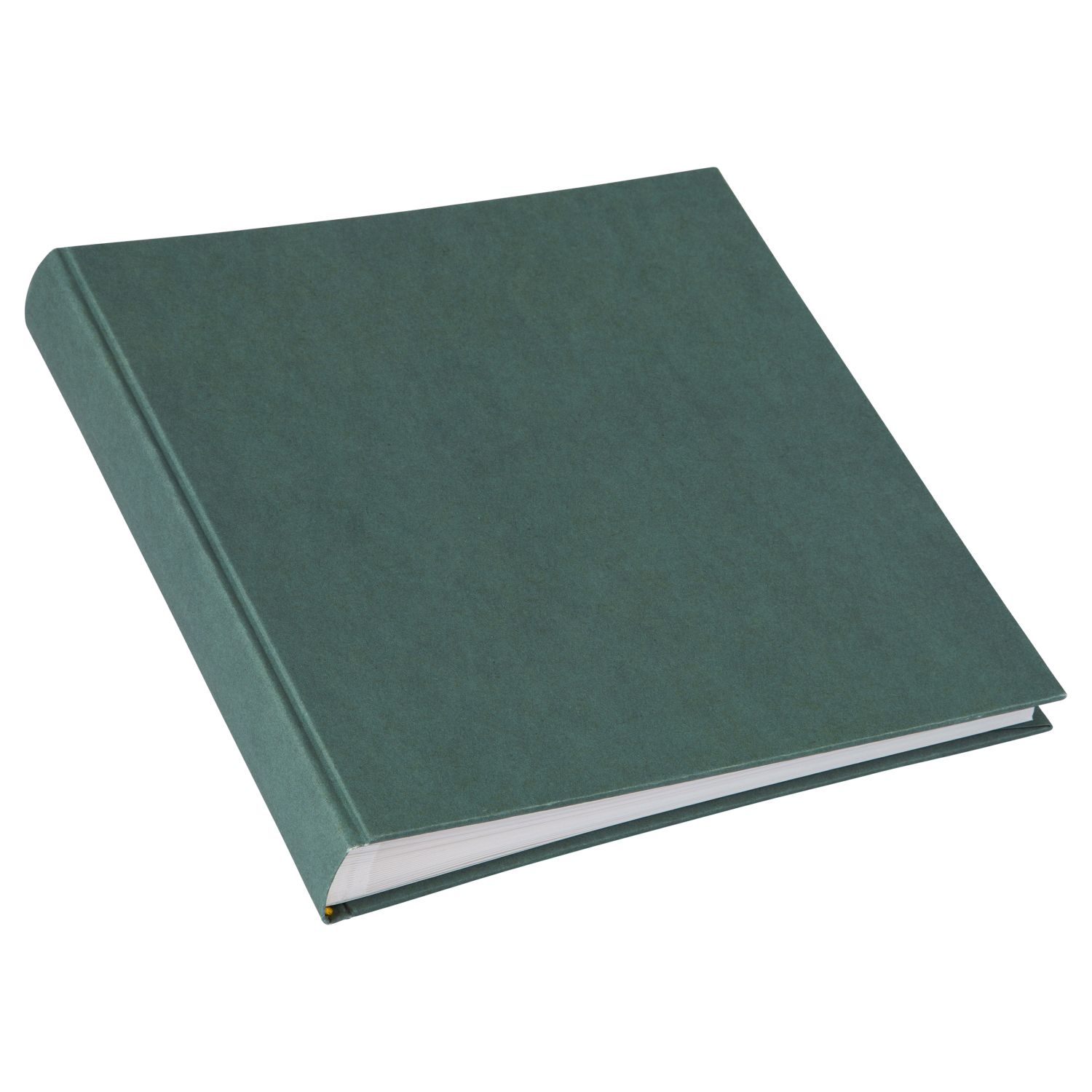 Goldbuch Hemp Midnight-Green 25x25 Drymount image 2