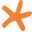Coral Coast Photo Life logo